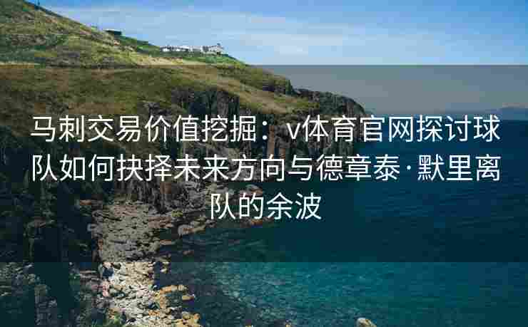 马刺交易价值挖掘：v体育官网探讨球队如何抉择未来方向与德章泰·默里离队的余波