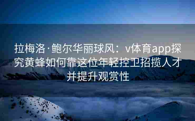 拉梅洛·鲍尔华丽球风：v体育app探究黄蜂如何靠这位年轻控卫招揽人才并提升观赏性