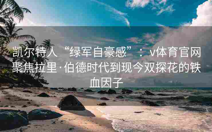 凯尔特人“绿军自豪感”：v体育官网聚焦拉里·伯德时代到现今双探花的铁血因子
