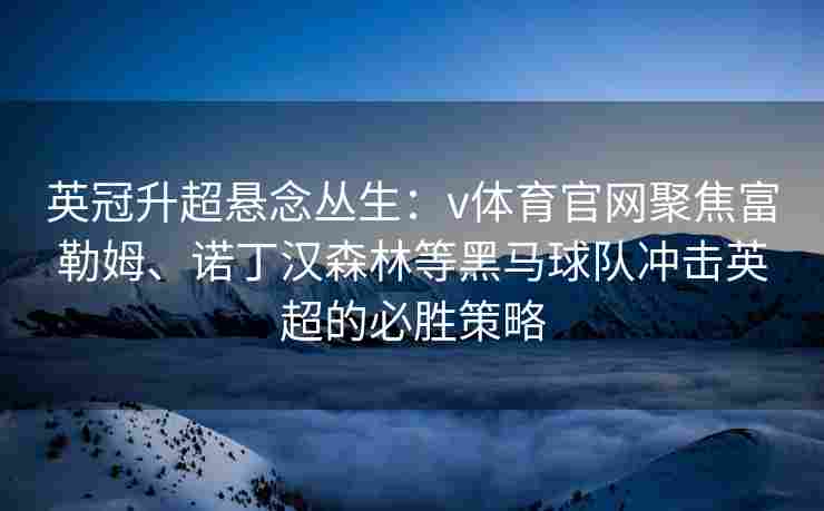 英冠升超悬念丛生：v体育官网聚焦富勒姆、诺丁汉森林等黑马球队冲击英超的必胜策略